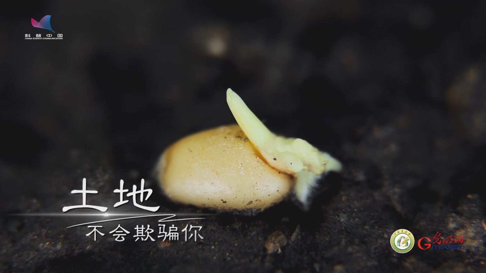 把菌剂工厂搬到田头，这项黑科技让土壤“满血复活”