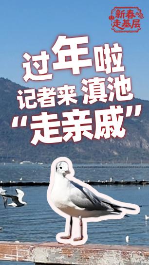 新春走基层丨过年啦！光明网记者来滇池“走亲戚”！