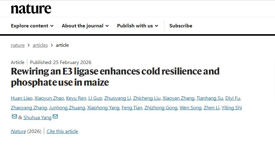 【科研论文科普解读】怕冷的玉米，有了“保暖又管饱”的新方案