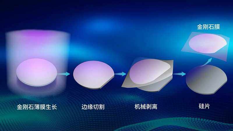 2025年度“中国科学十大进展”揭晓 2025年度“中国科学十大进展”揭晓
