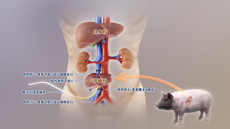 2025年度“中国科学十大进展”揭晓 2025年度“中国科学十大进展”揭晓