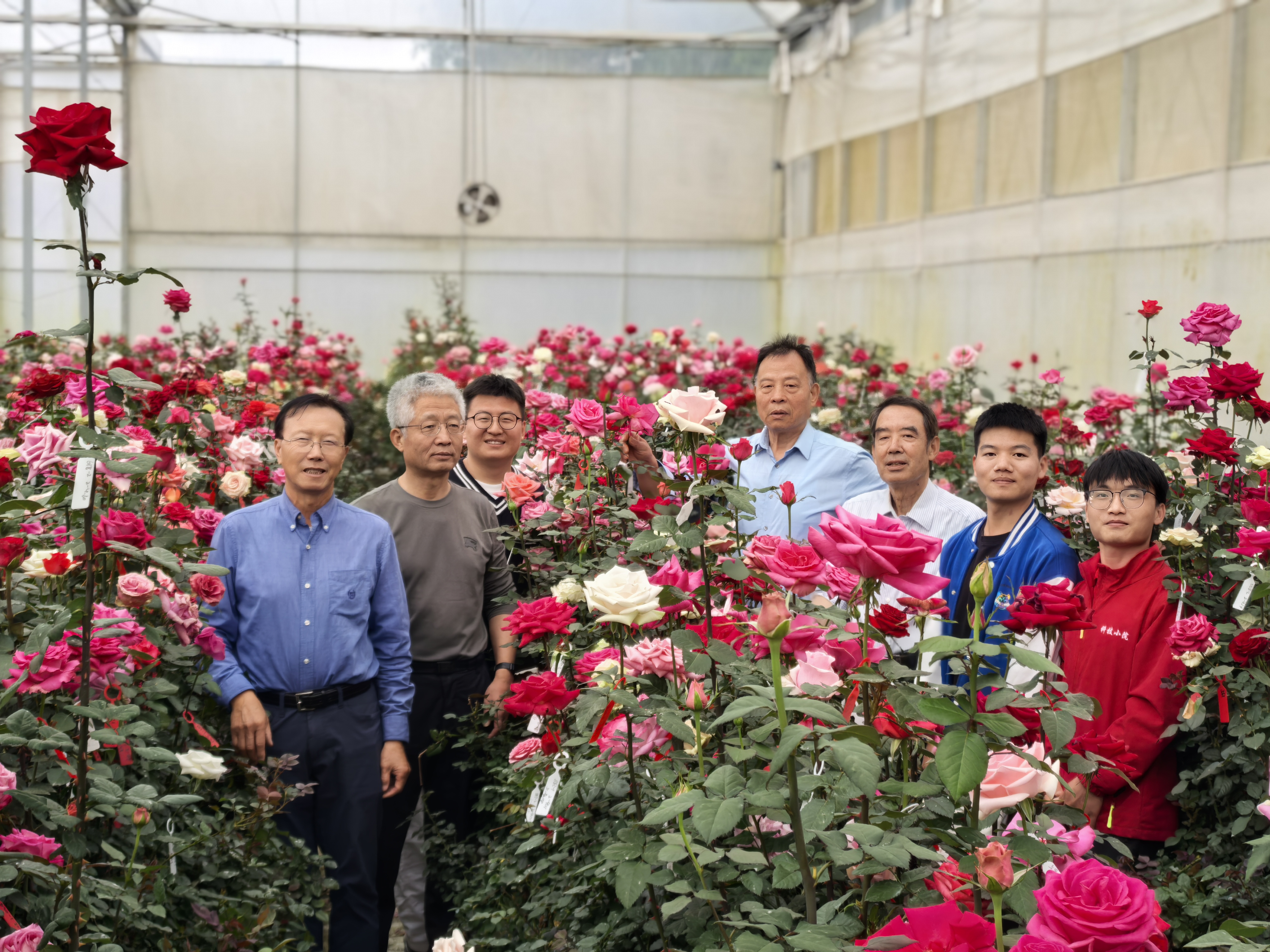 我在北京“走花路”:探访顶流花魁的“硬核爸妈” 我在北京“走花路”:探访顶流花魁的“硬核爸妈”