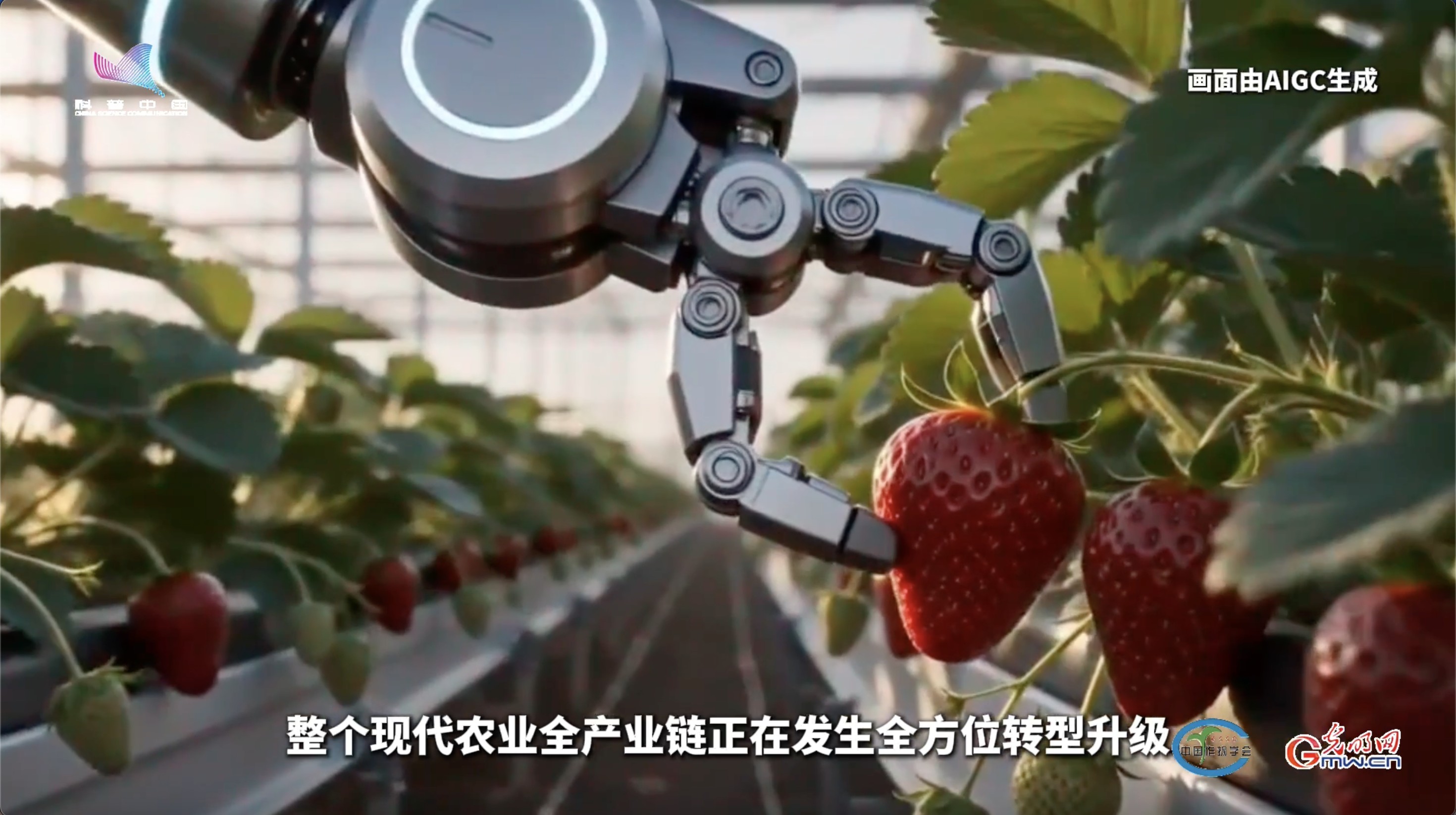 多学科交叉融合,解锁育种行业新未来 多学科交叉融合,解锁育种行业新未来