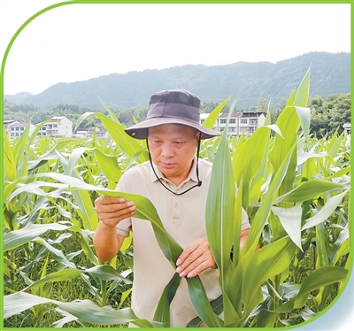 技术只有长在田里才算数