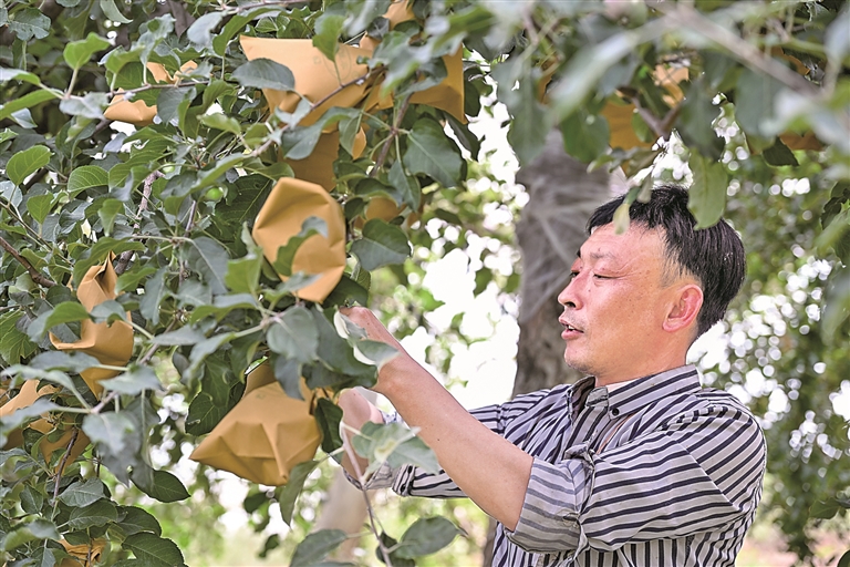荒坡披绿 山河焕彩——我国水土保持工作取得显著成效 荒坡披绿 山河焕彩——我国水土保持工作取得显著成效