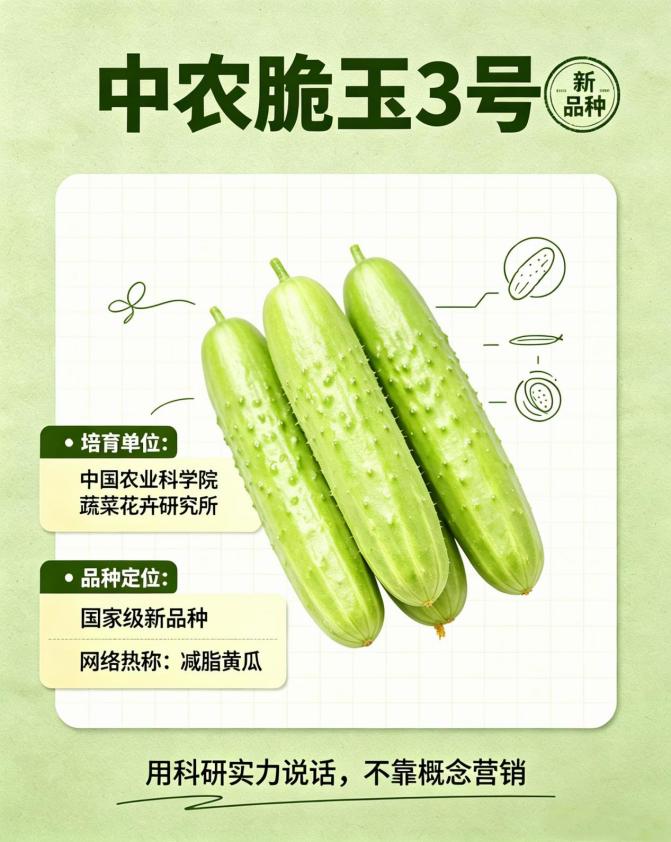 第1期：减脂黄瓜丨黄瓜居然能“减脂”？认识这款农科院新品种
