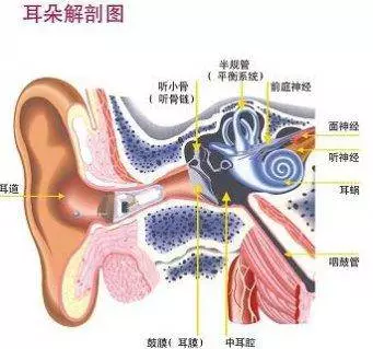 家长们注意了！别让儿童中耳炎害了孩子