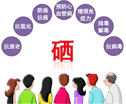 高价补硒是否必要？