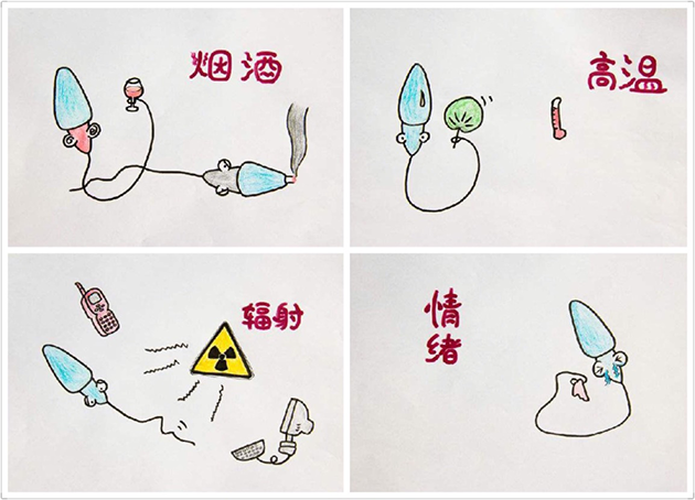 男性不育又添一因：Piwi基因突变