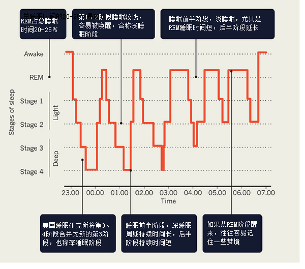 深度睡眠是什么？多久为最佳？