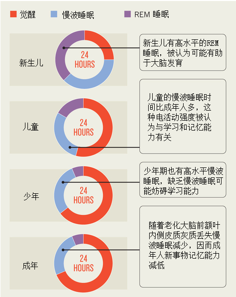 深度睡眠是什么？多久为最佳？