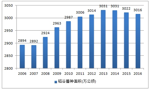 最高2.25米“巨人稻”堪称水稻界“姚明”