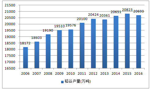 最高2.25米“巨人稻”堪称水稻界“姚明”