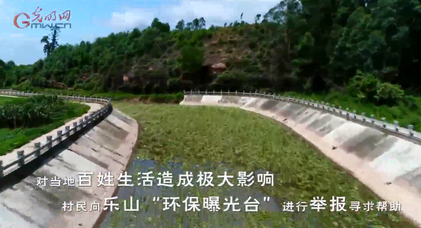 乐山·乐水——四川乐山“环保曝光台”助力绿水青山微纪录
