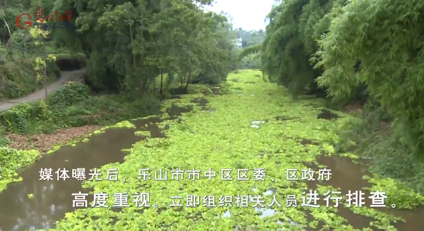乐山·乐水——四川乐山“环保曝光台”助力绿水青山微纪录