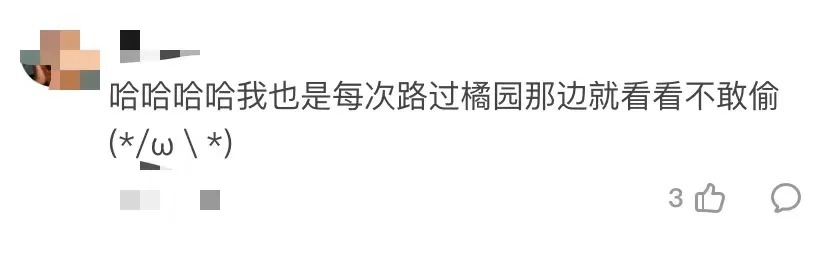 为什么一年四季都有橘子吃？多亏了这位“邓布利多”院士！