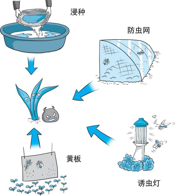 【绿色农业百问百答】如何通过物理防治措施来防治病虫草害？