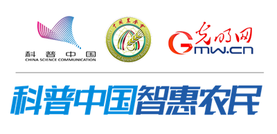 鳄雀鳝——来者不“善”