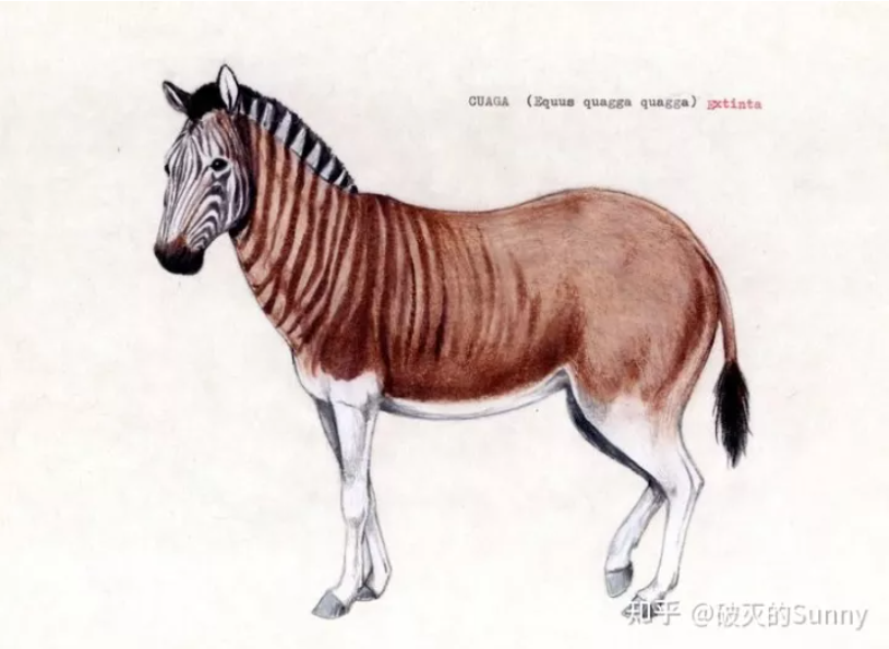 斯万特·帕博——他的身后，代表了我们全部