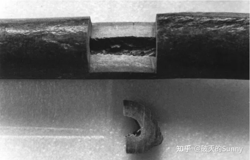 斯万特·帕博——他的身后，代表了我们全部
