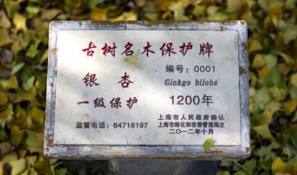 史上最“浪漫”的植物 居然是它！