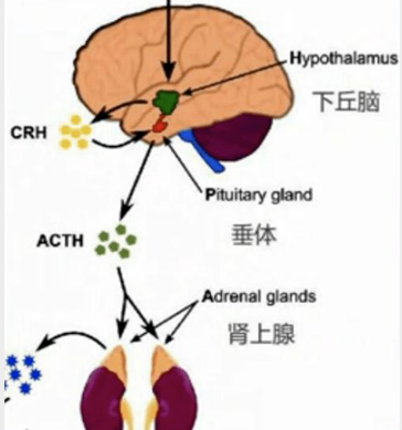 颜值断崖式下跌？可能是得了这种病