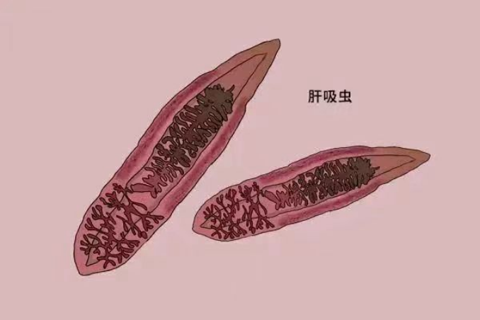报仇后被“复仇”,不能承受的“生吃海鲜之重”