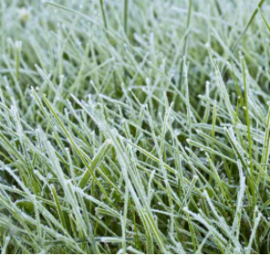 小雪天气转寒，注意防寒保暖