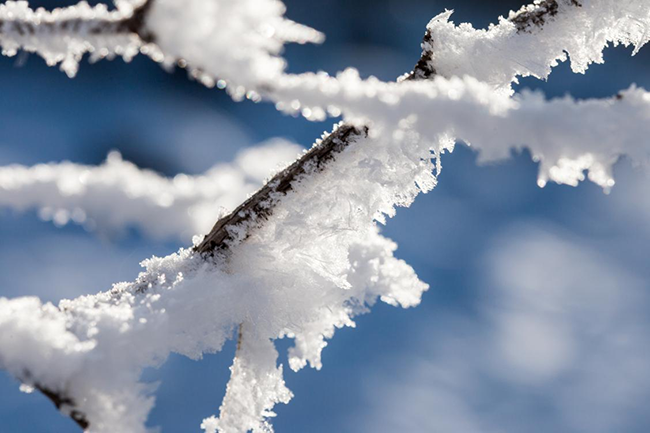 大雪，至此而雪盛也