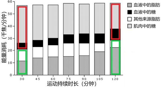 C罗体脂率仅7%？别再边吃烧烤边看世界杯了！