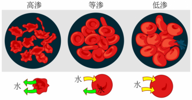 “阳”了之后疯狂喝水？警惕水中毒