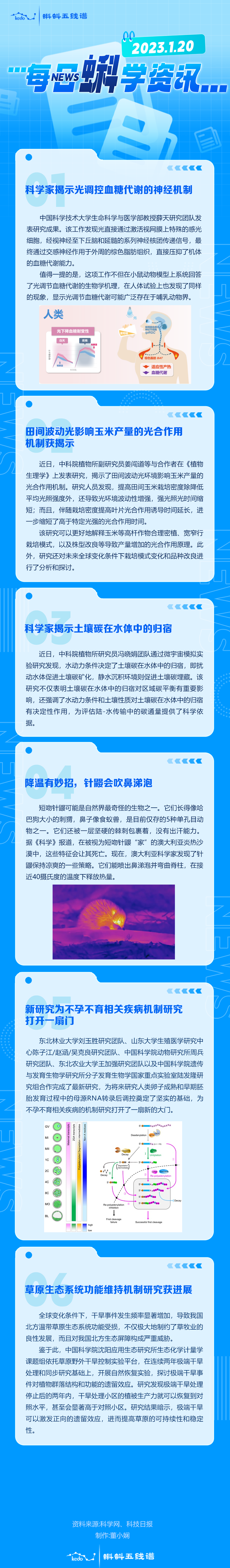 每日蝌学资讯 | 科学家揭示光调控血糖代谢的神经机制；田间波动光影响玉米产量的光合作用机制获揭示