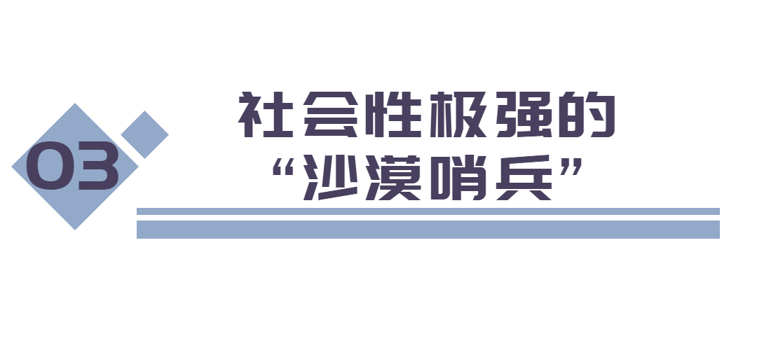 天生带萌，难怪“球2”也要专门给它镜头