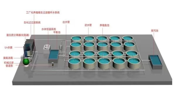 【智惠农民】水产业效率变革的“双引擎”：科技强农、机械强农“双强行动”