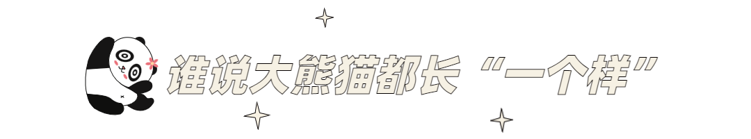 干货收藏 | 如何科学地区分大熊猫？（“花花”除外）