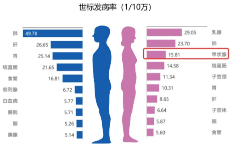 别emo了！警惕甲状腺疾病 | 世界卫生日