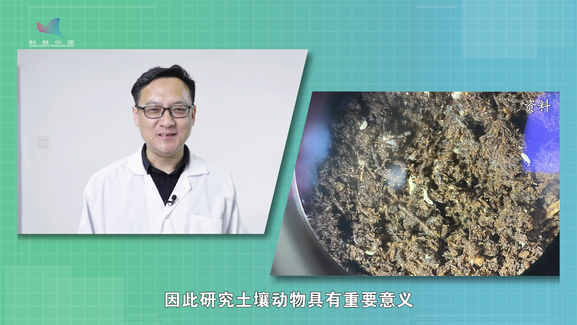 【一线调研·下田故事】土壤健不健康，看看这些虫子就知道