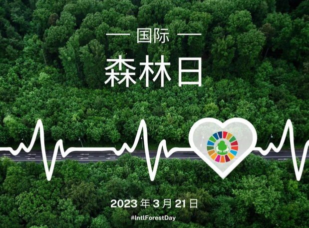 世界森林日 | 预防森林火灾，守护“地球之肺”
