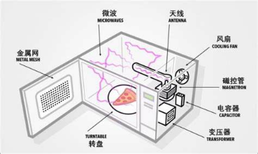 别听到辐射就害怕！原来它还有这些作用......