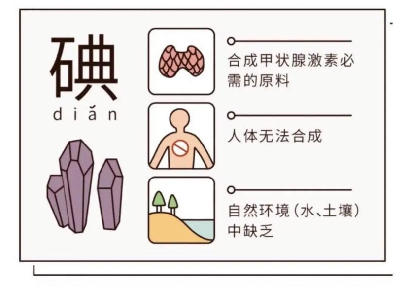 如何预防碘缺乏病？科学补碘有“碘”重要！|全国防治碘缺乏病日