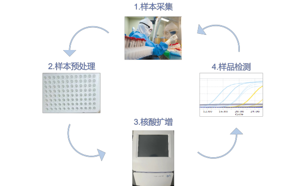 新技术、新应用，水产动物病原快速检测又出新招