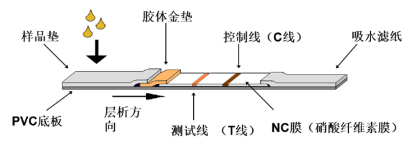 新技术、新应用，水产动物病原快速检测又出新招