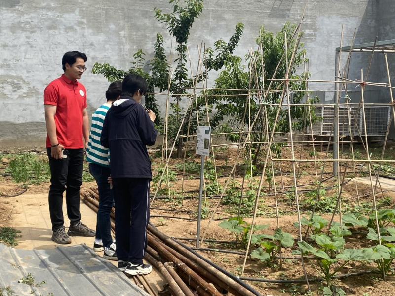 【一线调研·科技小院】推开小院的门，和“新老乡”一起种地吧