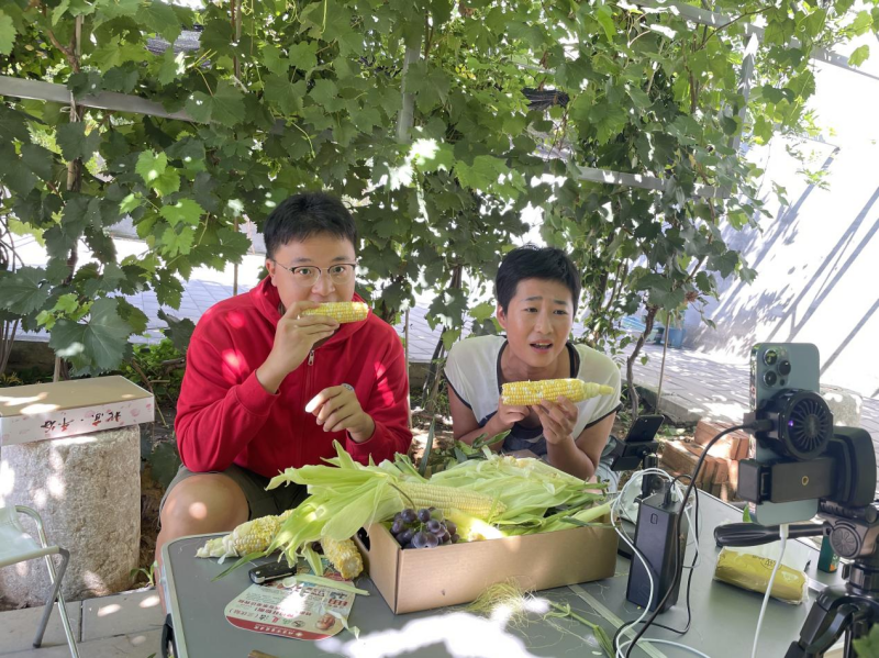 【一线调研·科技小院】推开小院的门，和“新老乡”一起种地吧