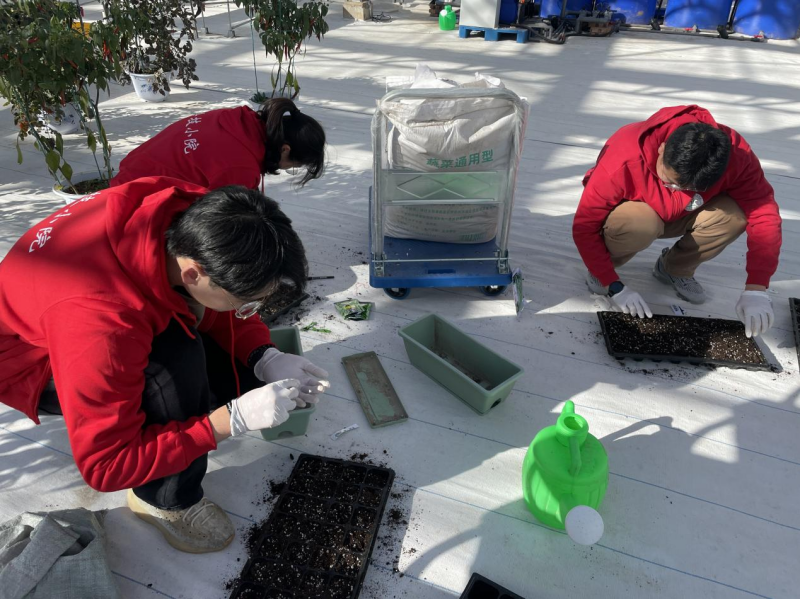 【一线调研·科技小院】推开小院的门，和“新老乡”一起种地吧
