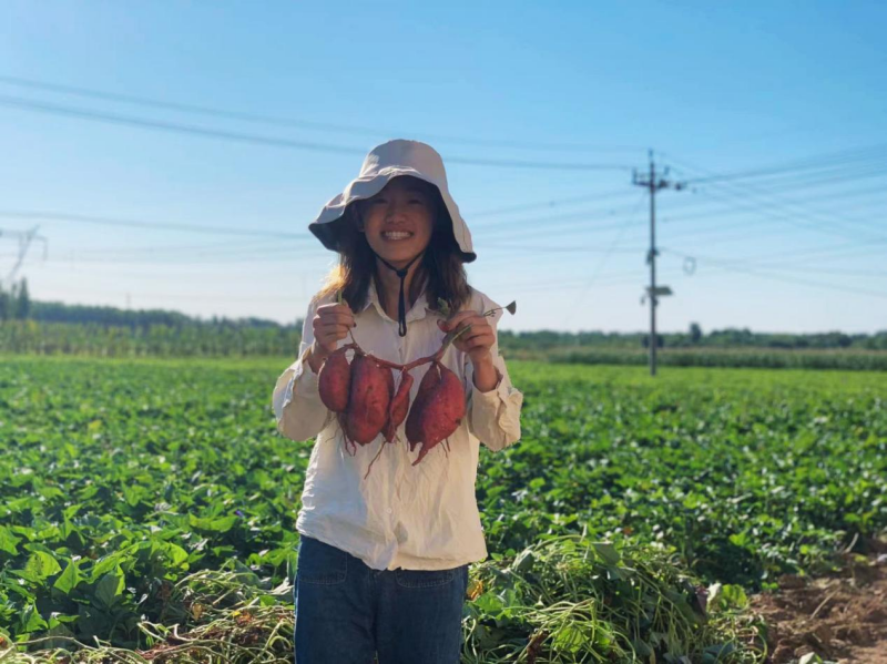 【一线调研·科技小院】推开小院的门，和“新老乡”一起种地吧