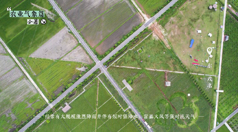 【节气农事·小暑篇】小暑已至,万物葱郁 【节气农事·小暑篇】小暑已至,万物葱郁