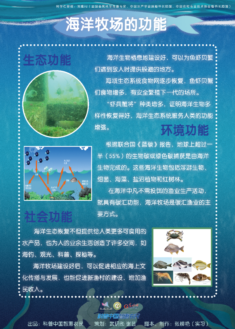 【智农挂图】带你走进“海洋牧场”
