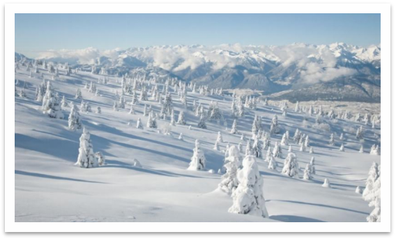 炎炎夏日也能滑雪,“用雪自由”是怎么实现的?