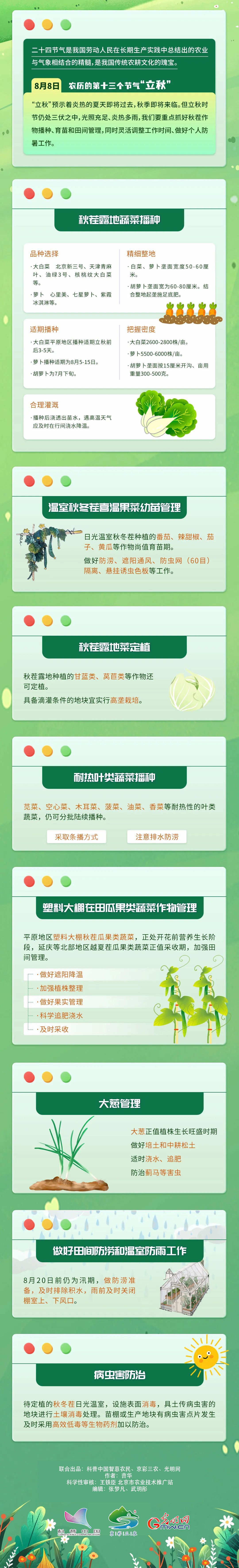【智农图解】立秋到，蔬菜如何做好田间农事管理？